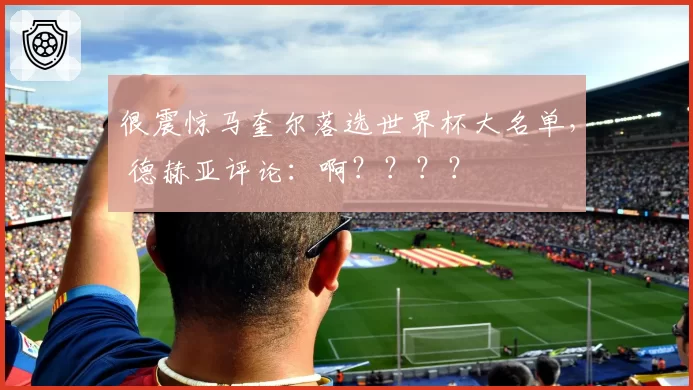 很震惊马奎尔落选世界杯大名单, 德赫亚评论:啊????
