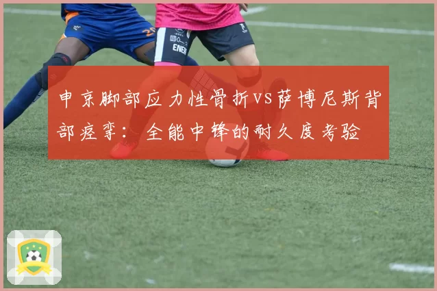 申京脚部应力性骨折vs萨博尼斯背部痉挛：全能中锋的耐久度考验