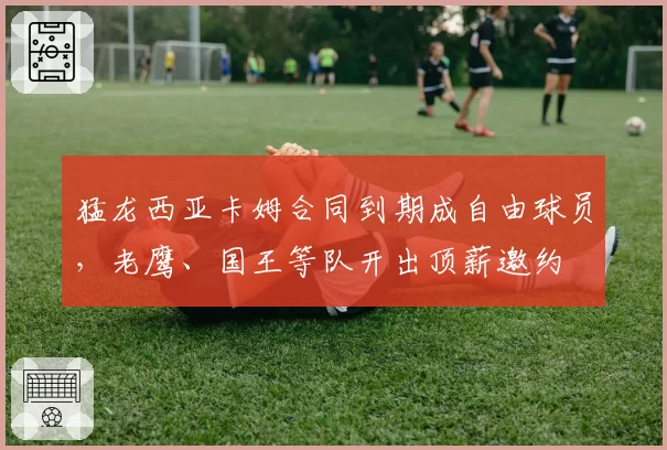 猛龙西亚卡姆合同到期成自由球员,老鹰、国王等队开出顶薪邀约