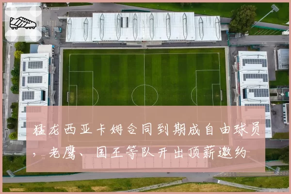 猛龙西亚卡姆合同到期成自由球员,老鹰、国王等队开出顶薪邀约